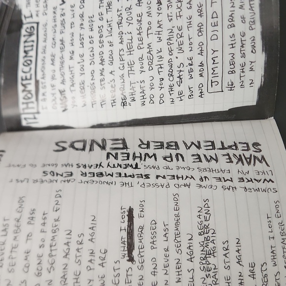 GREEN DAY AMERICAN IDIOT CD 2004 VG - Picture 15 of 17